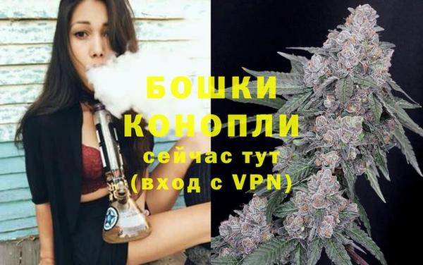 дурь Вяземский