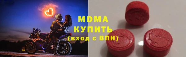 прущие грибы Вязьма